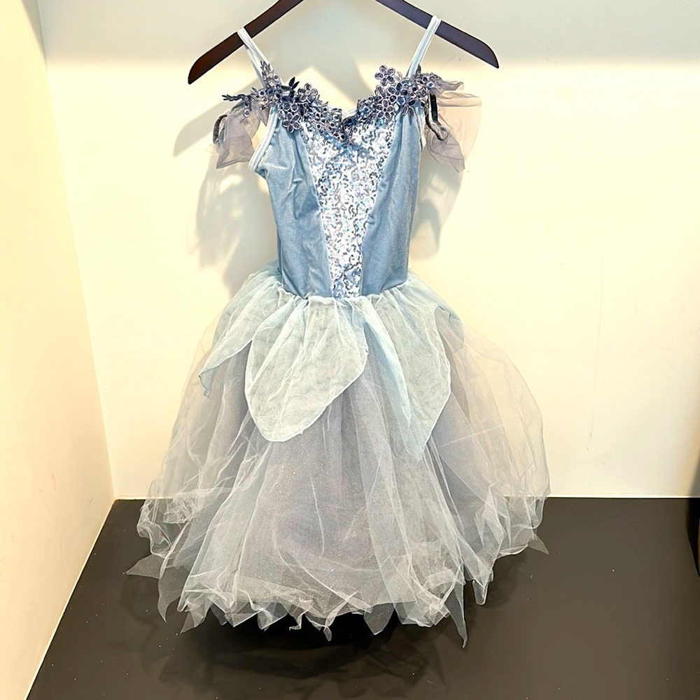 Weissman Moon Fairies Dance Dress